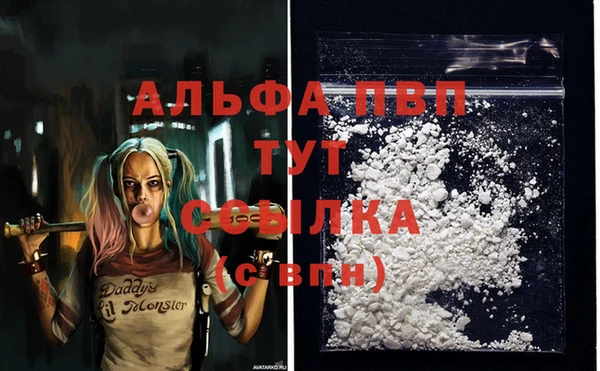 ГАЛЛЮЦИНОГЕННЫЕ ГРИБЫ Кинешма