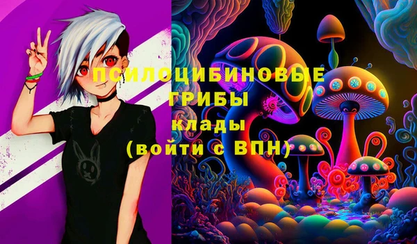 ГАЛЛЮЦИНОГЕННЫЕ ГРИБЫ Кинешма